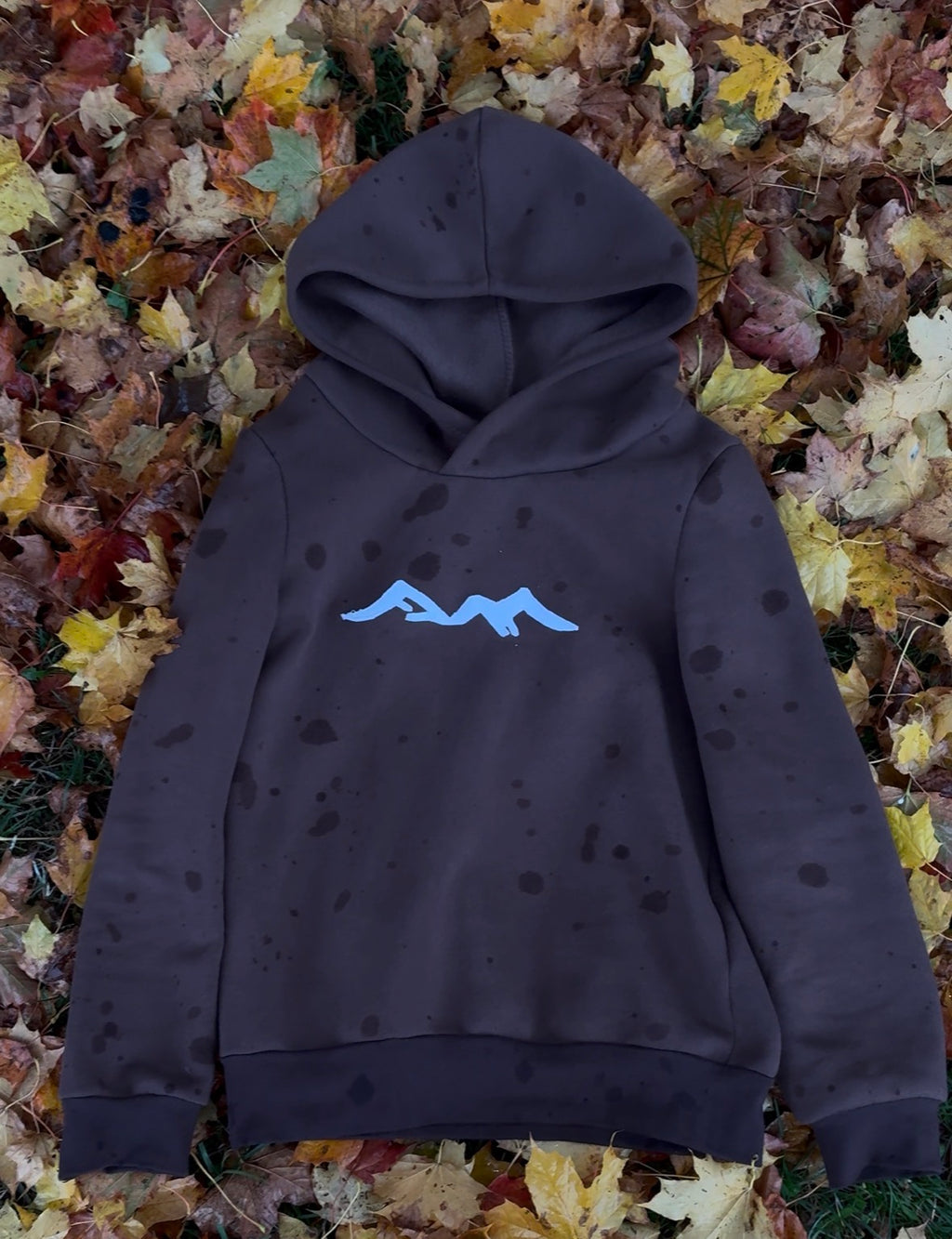 Mountain hoodie