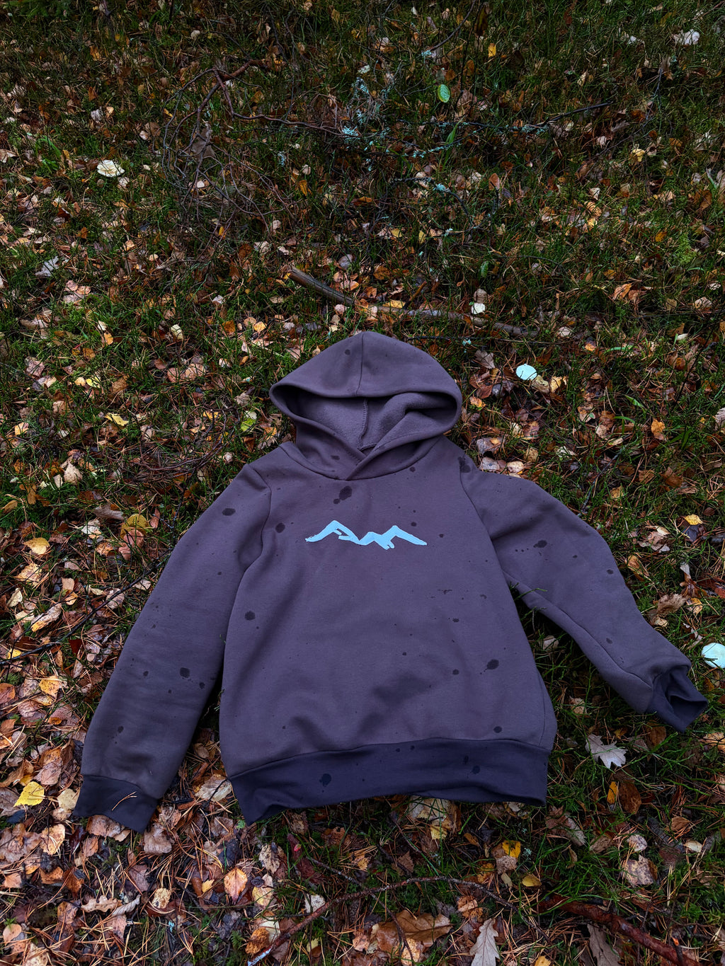 Mountain hoodie