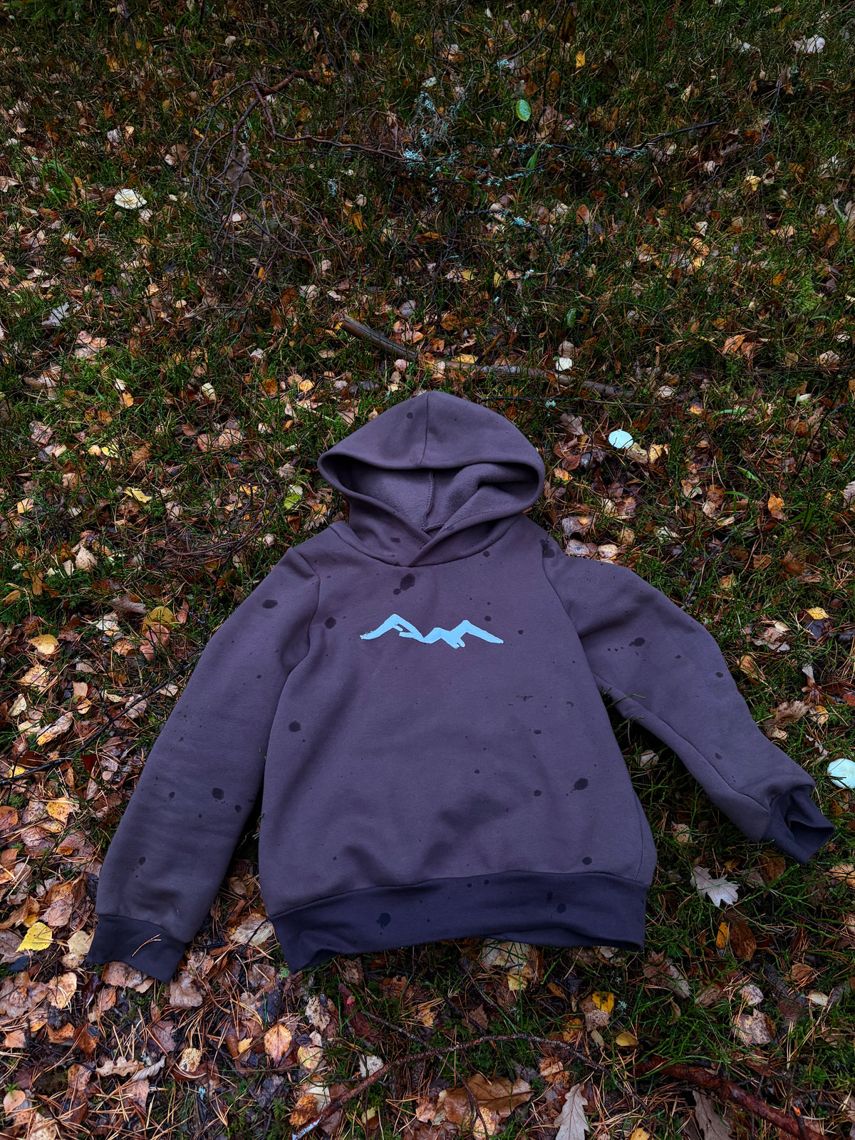 Mountain hoodie