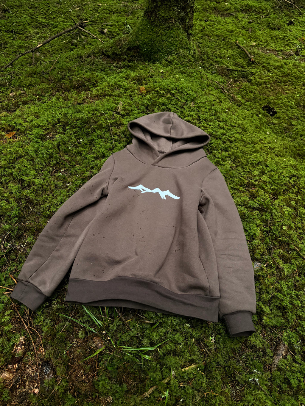 Mountain hoodie