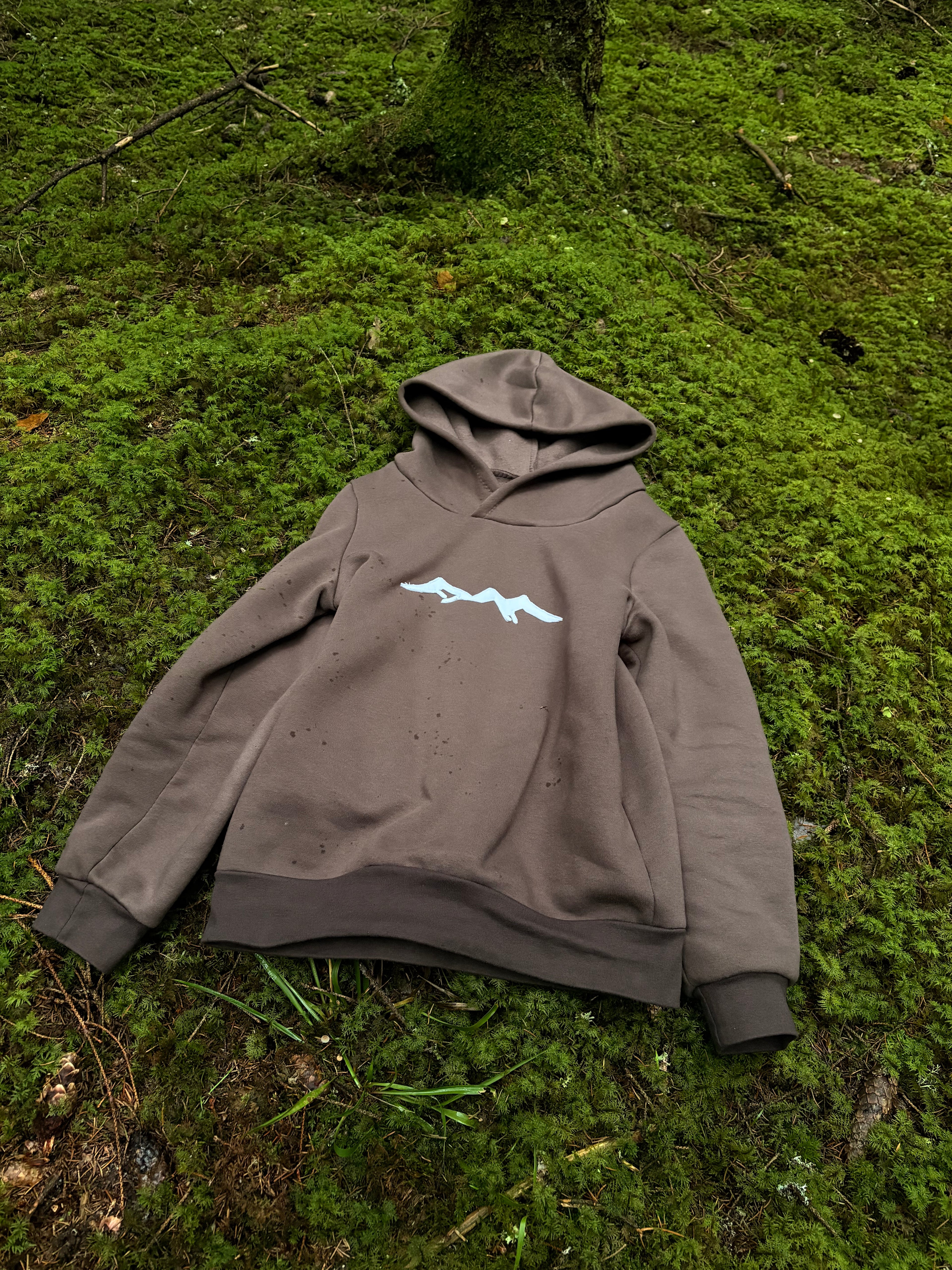 Mountain hoodie